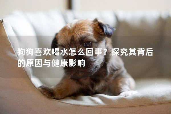 狗狗喜歡喝水怎么回事？探究其背后的原因與健康影響