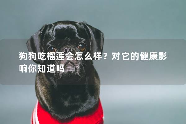 狗狗吃榴蓮會怎么樣？對它的健康影響你知道嗎