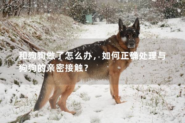 和狗狗做了怎么辦,如何正確處理與狗狗的親密接觸?
