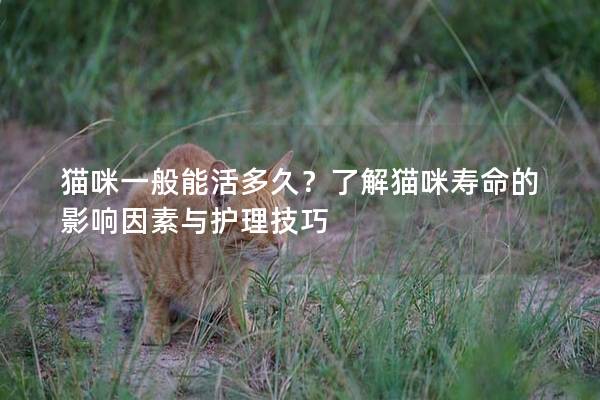 貓咪一般能活多久？了解貓咪壽命的影響因素與護(hù)理技巧