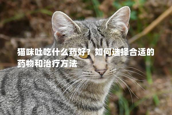 貓咪吐吃什么藥好？如何選擇合適的藥物和治療方法