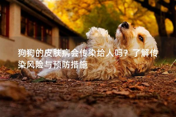狗狗的皮膚病會傳染給人嗎？了解傳染風險與預(yù)防措施