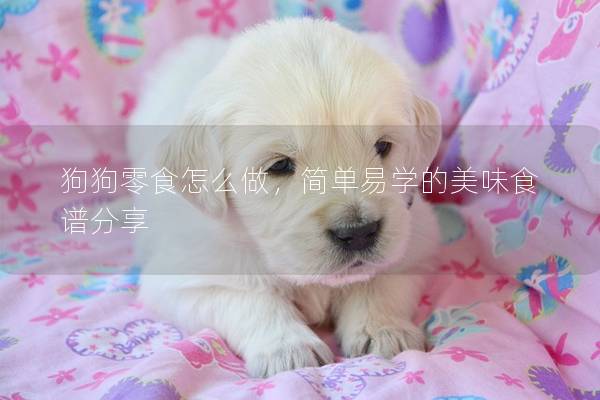 狗狗零食怎么做,簡單易學的美味食譜分享 狗狗零食怎么做,簡單易學的美味食譜分享