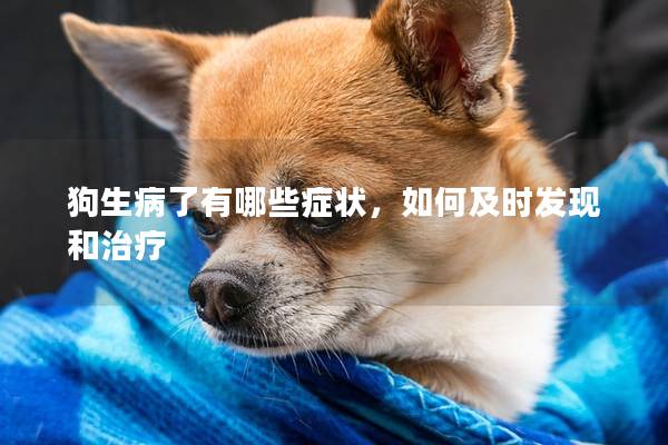 狗生病了有哪些癥狀，如何及時發現和治療
