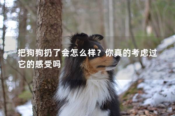 把狗狗扔了會怎么樣？你真的考慮過它的感受嗎