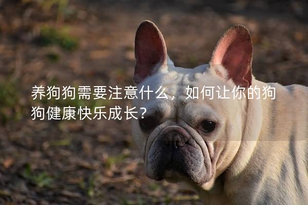 養狗狗需要注意什么，如何讓你的狗狗健康快樂成長？