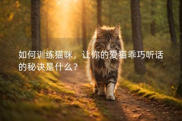 如何訓練貓咪，讓你的愛貓乖巧聽話的秘訣是什么？