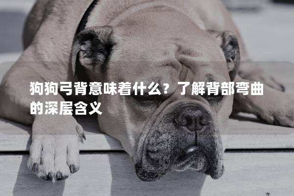 狗狗弓背意味著什么？了解背部彎曲的深層含義