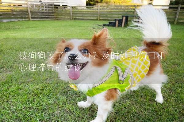 被狗狗咬了怎么辦？及時處理傷口和心理疏導的建議