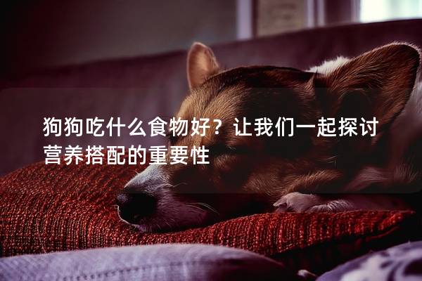 狗狗吃什么食物好？讓我們一起探討營養搭配的重要性