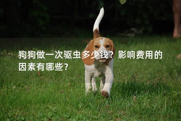 狗狗做一次驅(qū)蟲(chóng)多少錢(qián)？影響費(fèi)用的因素有哪些？