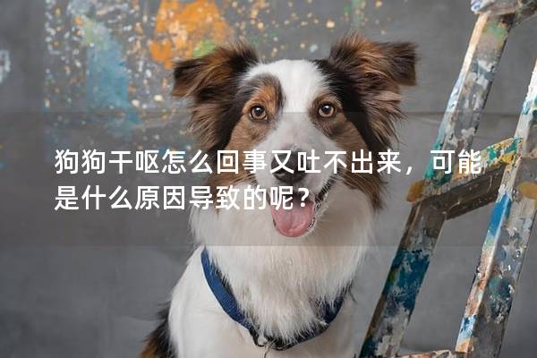狗狗干嘔怎么回事又吐不出來(lái)，可能是什么原因?qū)е碌哪兀? title=