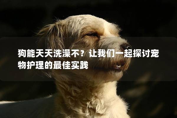 狗能天天洗澡不？讓我們一起探討寵物護理的最佳實踐