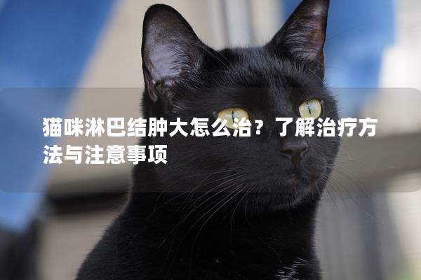 貓咪淋巴結(jié)腫大怎么治？了解治療方法與注意事項(xiàng)