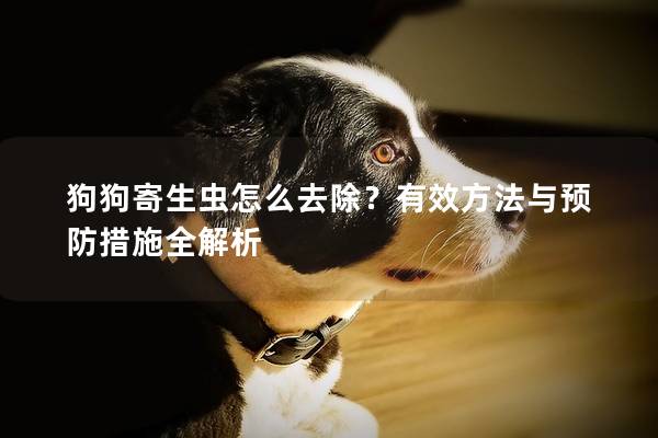 狗狗寄生蟲怎么去除？有效方法與預(yù)防措施全解析