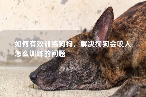 如何有效訓練狗狗，解決狗狗會咬人怎么訓練的問題