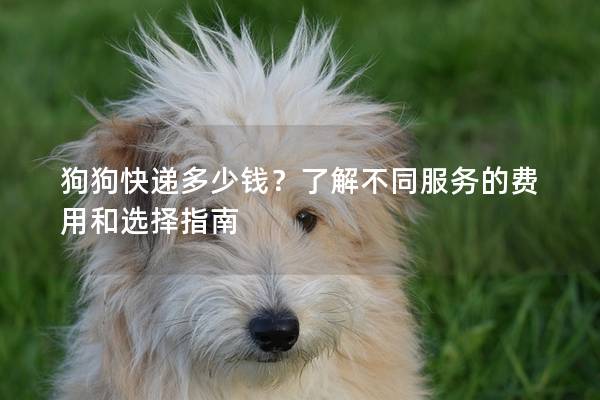 狗狗快遞多少錢？了解不同服務的費用和選擇指南