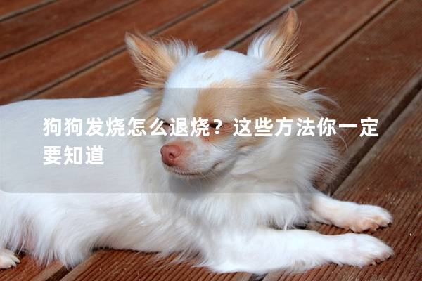 狗狗發燒怎么退燒？這些方法你一定要知道