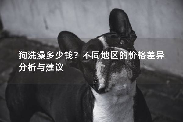 狗洗澡多少錢(qián)？不同地區(qū)的價(jià)格差異分析與建議
