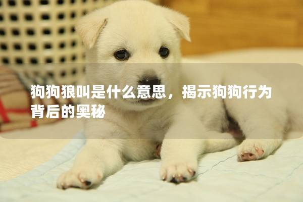 狗狗狼叫是什么意思，揭示狗狗行為背后的奧秘