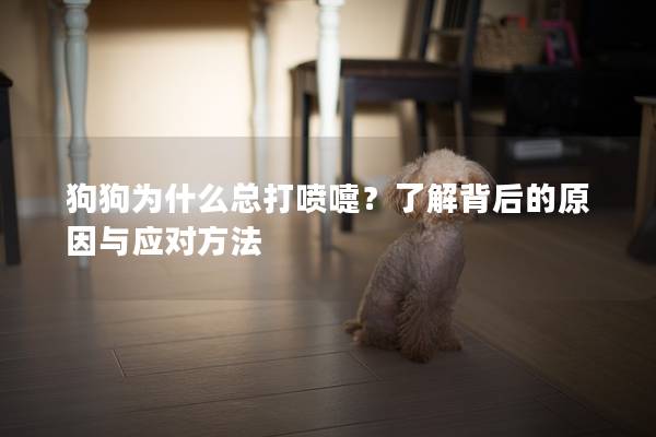 狗狗為什么總打噴嚏？了解背后的原因與應(yīng)對(duì)方法