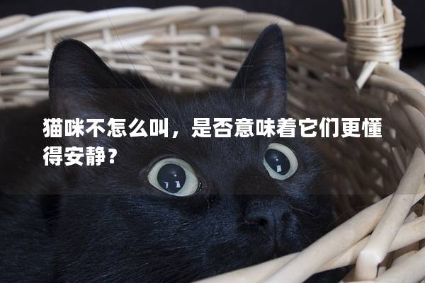 貓咪不怎么叫，是否意味著它們更懂得安靜？