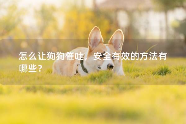怎么讓狗狗催吐，安全有效的方法有哪些？