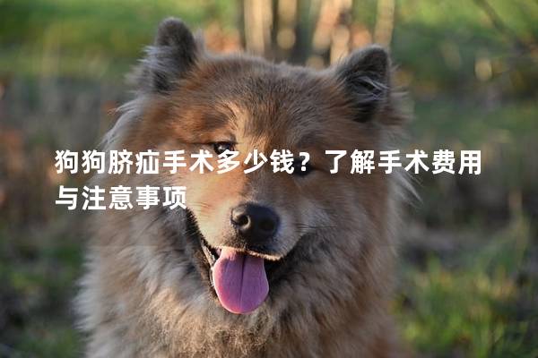 狗狗臍疝手術多少錢？了解手術費用與注意事項