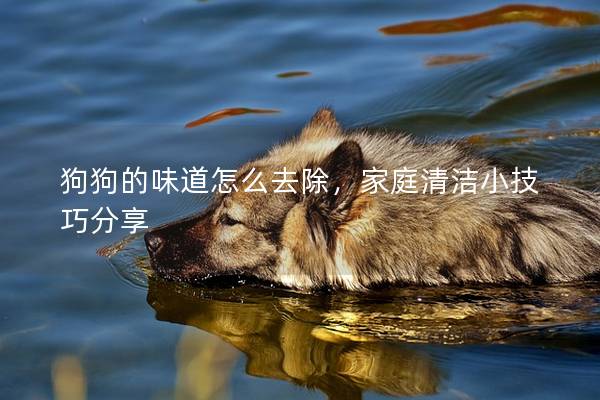 狗狗的味道怎么去除，家庭清潔小技巧分享