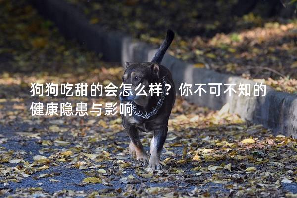 狗狗吃甜的會(huì)怎么樣？你不可不知的健康隱患與影響