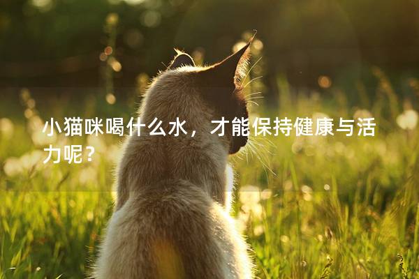 小貓咪喝什么水,才能保持健康與活力呢? 小貓咪喝什么水,才能保持健康與活力呢?