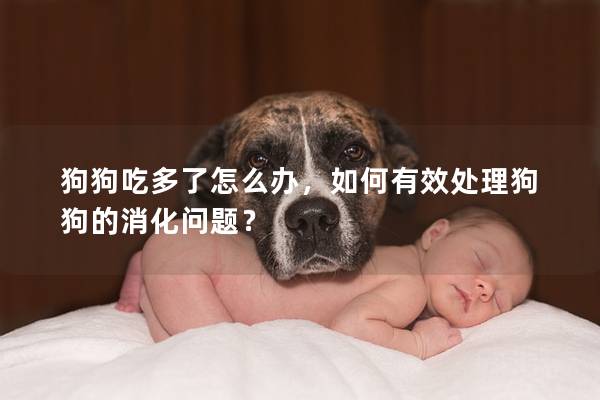 狗狗吃多了怎么辦，如何有效處理狗狗的消化問題？
