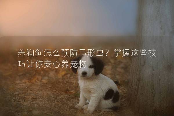 養狗狗怎么預防弓形蟲？掌握這些技巧讓你安心養寵物