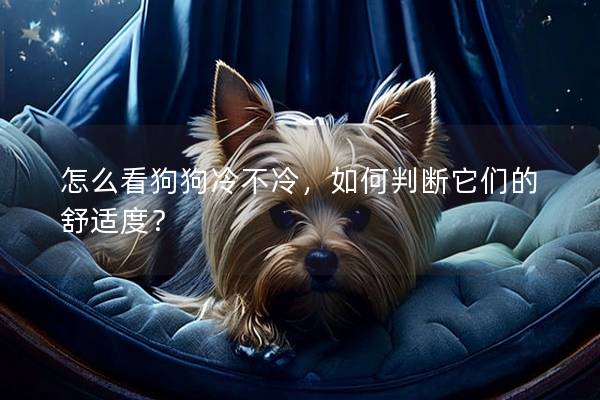 怎么看狗狗冷不冷，如何判斷它們的舒適度？
