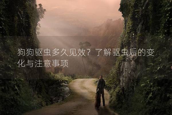 狗狗驅(qū)蟲多久見效？了解驅(qū)蟲后的變化與注意事項