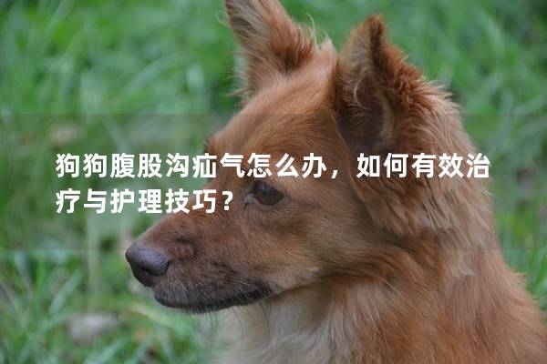 狗狗腹股溝疝氣怎么辦，如何有效治療與護理技巧？