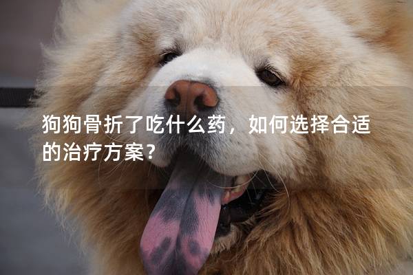 狗狗骨折了吃什么藥，如何選擇合適的治療方案？