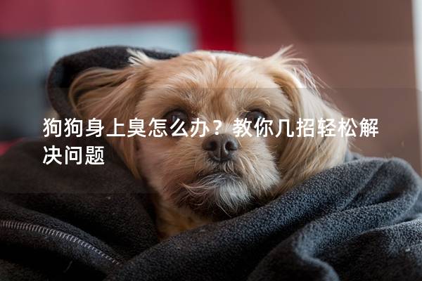 狗狗身上臭怎么辦?教你幾招輕松解決問題 狗狗身上臭怎么辦?教你幾招輕松解決問題