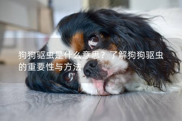 狗狗驅蟲是什么意思？了解狗狗驅蟲的重要性與方法
