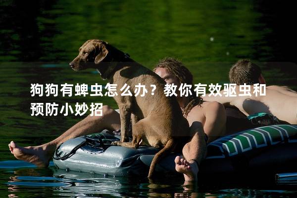 狗狗有蜱蟲怎么辦？教你有效驅蟲和預防小妙招