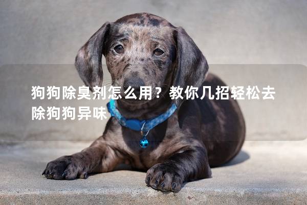 狗狗除臭劑怎么用？教你幾招輕松去除狗狗異味