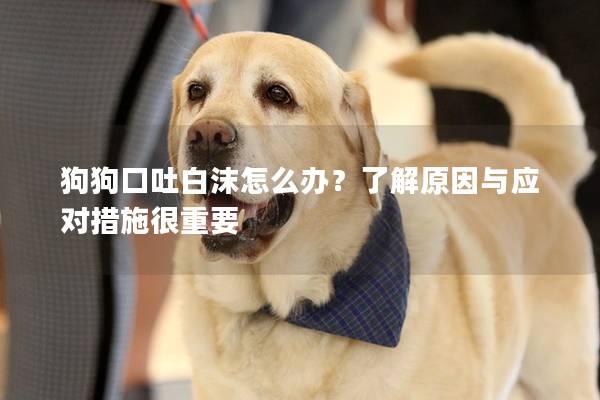 狗狗口吐白沫怎么辦？了解原因與應(yīng)對(duì)措施很重要