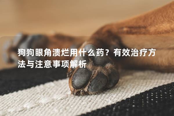 狗狗眼角潰爛用什么藥？有效治療方法與注意事項解析