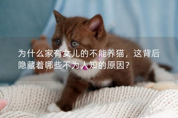 為什么家有女兒的不能養(yǎng)貓,這背后隱藏著哪些不為人知的原因? 為什么家有女兒的不能養(yǎng)貓,這背后隱藏著哪些不為人知的原因?