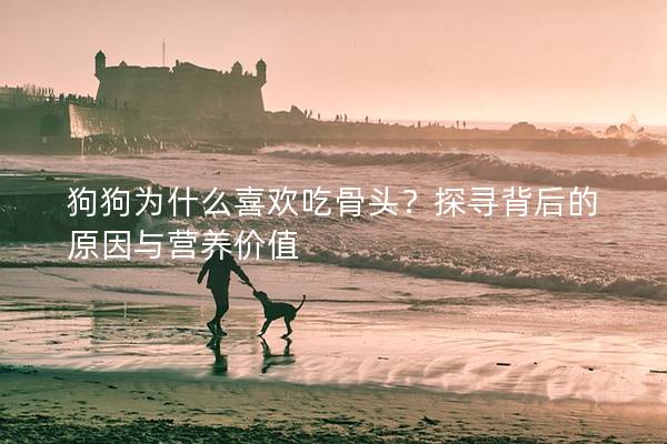 狗狗為什么喜歡吃骨頭？探尋背后的原因與營養(yǎng)價(jià)值