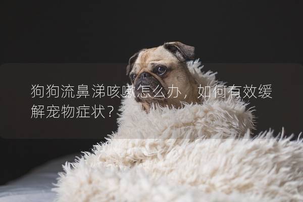 狗狗流鼻涕咳嗽怎么辦，如何有效緩解寵物癥狀？