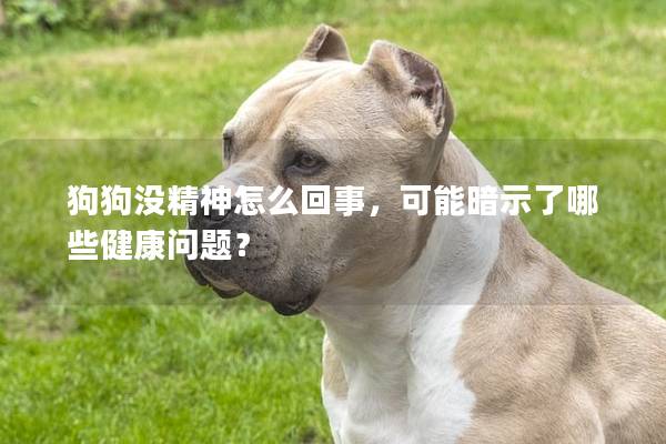 狗狗沒精神怎么回事，可能暗示了哪些健康問題？