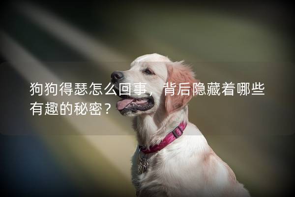 狗狗得瑟怎么回事，背后隱藏著哪些有趣的秘密？