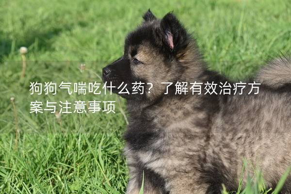 狗狗氣喘吃什么藥？了解有效治療方案與注意事項