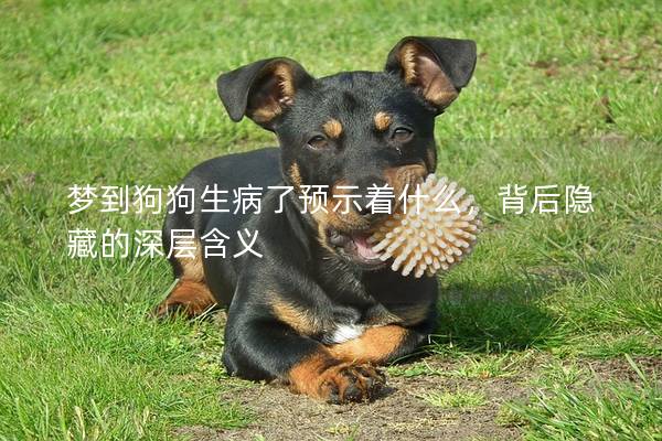 夢到狗狗生病了預示著什么，背后隱藏的深層含義